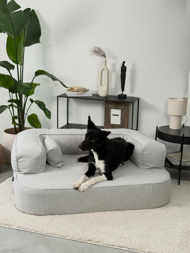 Ortopedický GAUČ pro psa LUSI 🩶 I takový pelíšek u nás najdete ☺️🫶🏻