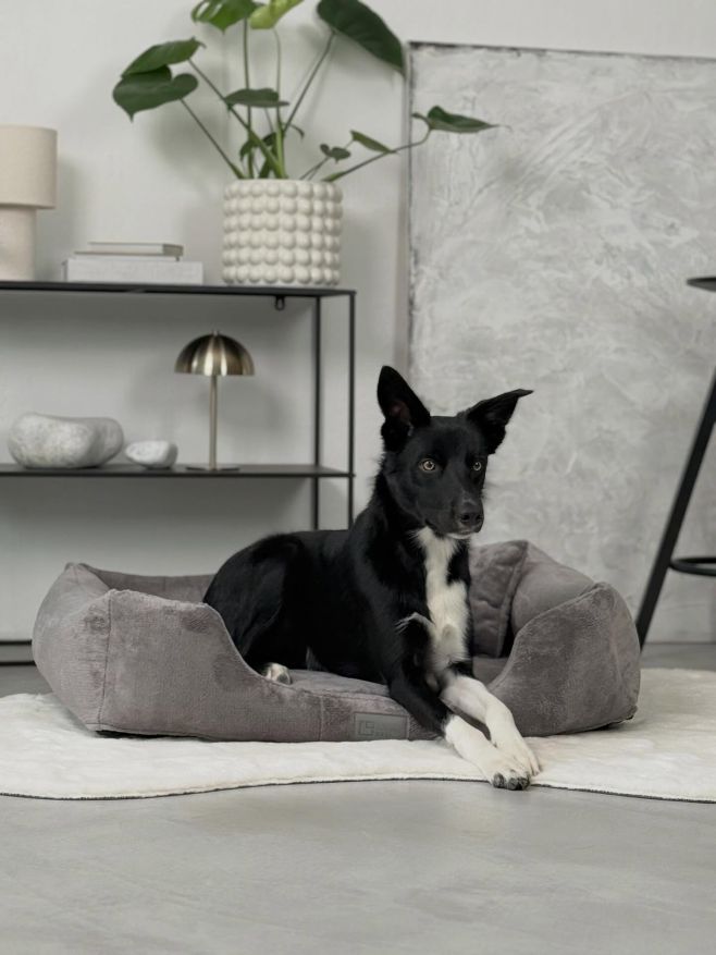 Pelíšek CANDY šedý 🩶 Venku začíná být chladno a pro milovníky hřejivého materiálu tu máme pelíšky CANDY 🍂🍁 #pelisek...