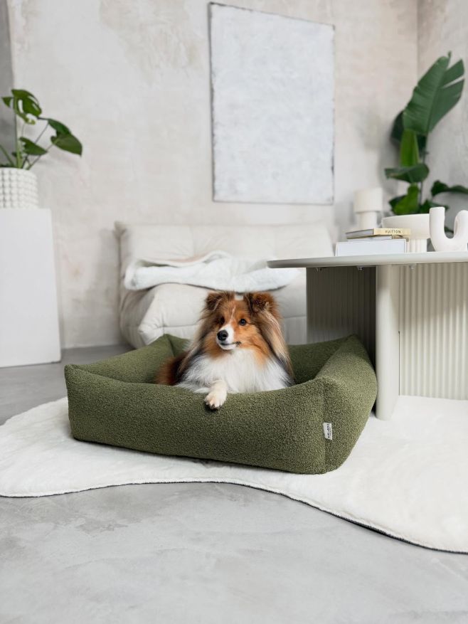 Fuffy v ortopedickém pelíšku HARMONY od Bowl&Bone Republic. Minimalismus, pohodlí a zdravá podpora pro každý psí...