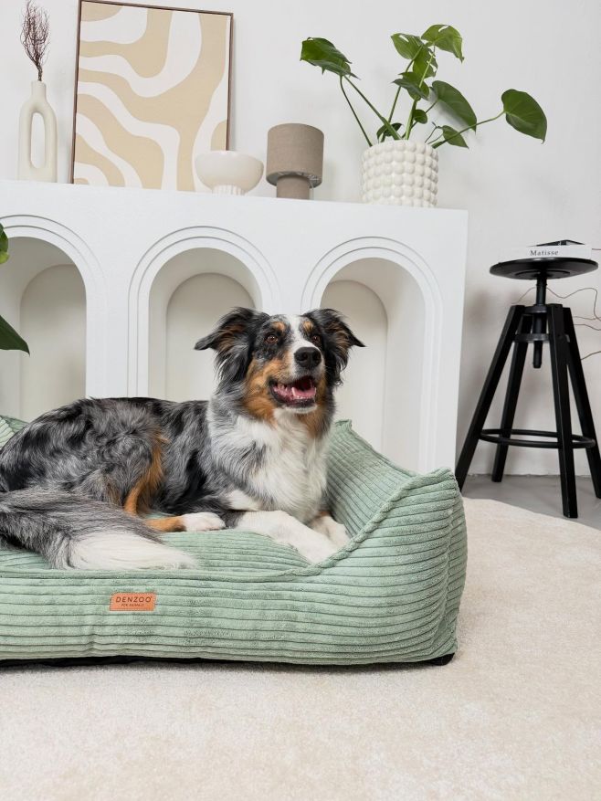 Pelíšky v AKCI … najdete je zde ☺️ https://www.ortopelisky.cz/verona-ortopedicky-pelisek-pro-psa/ Jsou pro malá a střední...