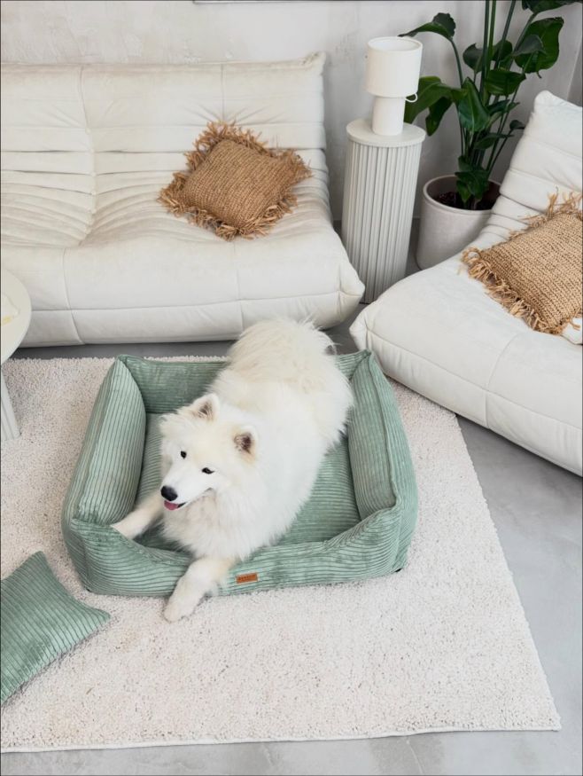 Úžasná pastelová barva 🫶🏻 pouze velikosti S, M a L. Tento typ pelíšku najde tady 🤍...