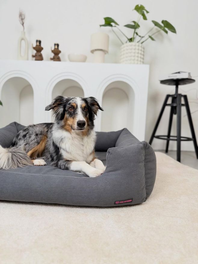 Nová barva, nový materiál 🩶 ale stále stejný pelíšek LUSO 😊 #ausik #australianshepherd #pelech #pelisek