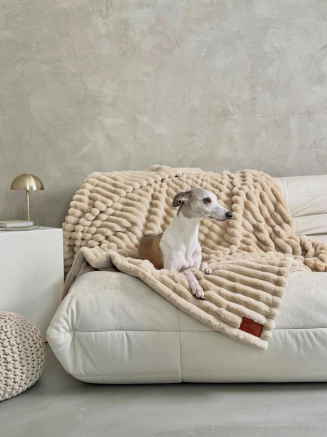 Jeffsy testoval, já schválila… a je to venku! 🐶💛 Naše nové oboustranné nepropustné deky jsou právě na eshopu. Hřejivé,...