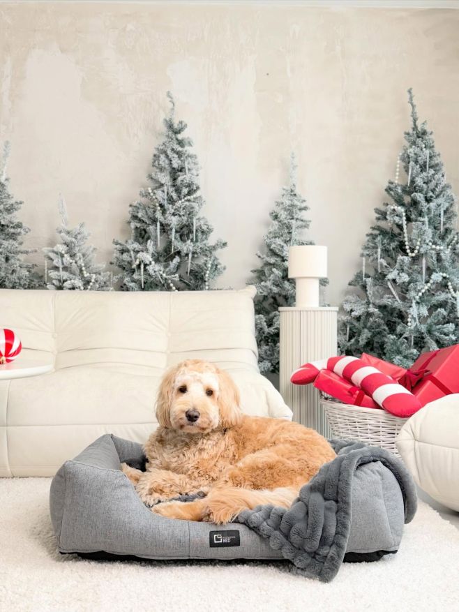 Přejme krásnou neděli 🌟🎄